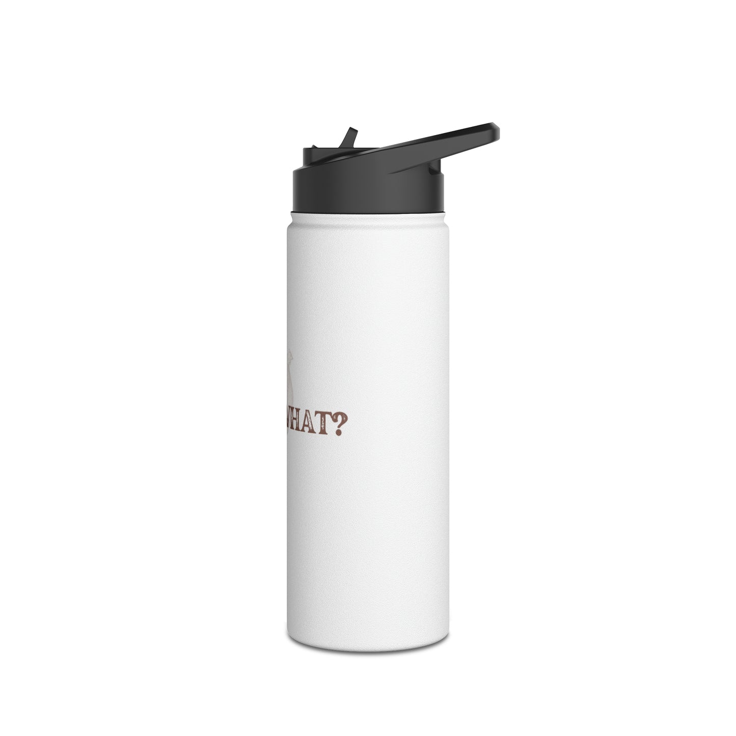 Guess What Stainless Steel Water Bottle, Standard Lid